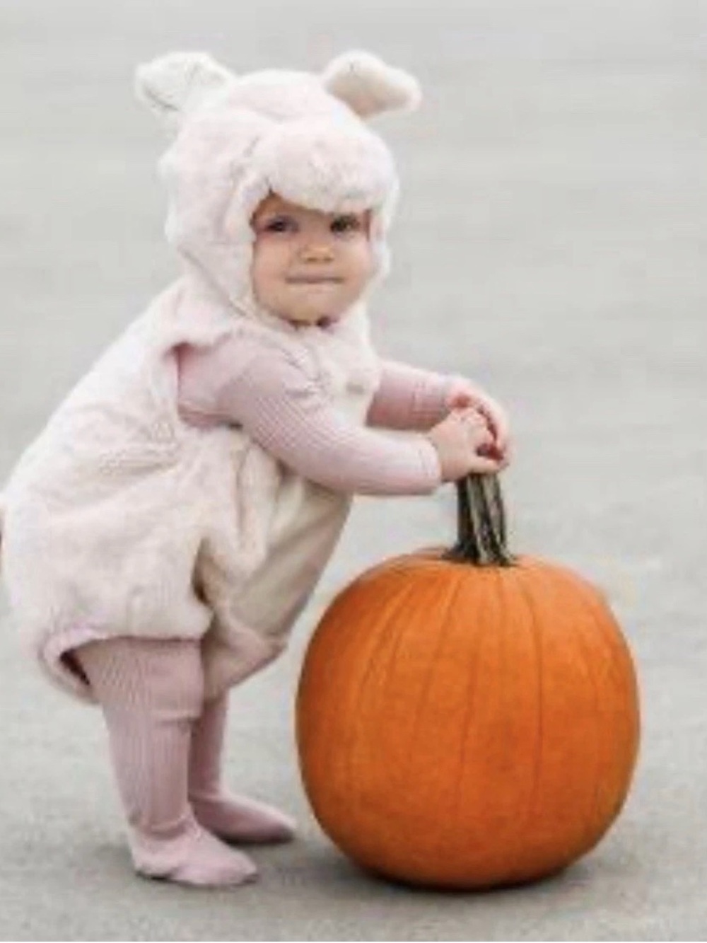 Pottery Barn baby piggy costume 0-6 mos. NWT